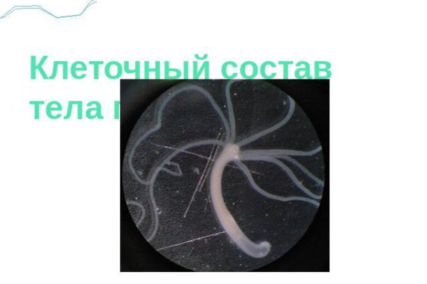 Переход на кракен
