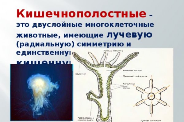 Какой нужен тор чтоб зайти в кракен