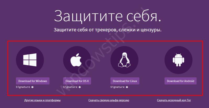 Кракен что можно купить